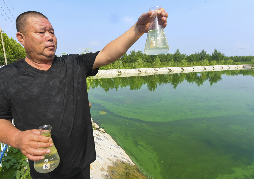 1637291254954035.jpg 1637291254954035.jpg