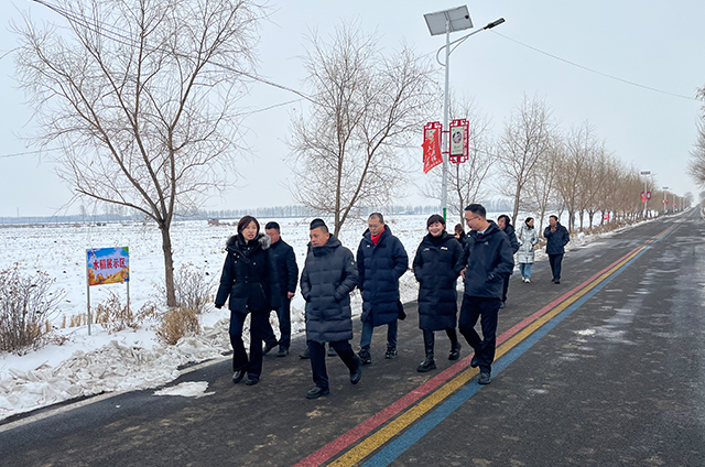 1702025531468132.jpg 6.jpg