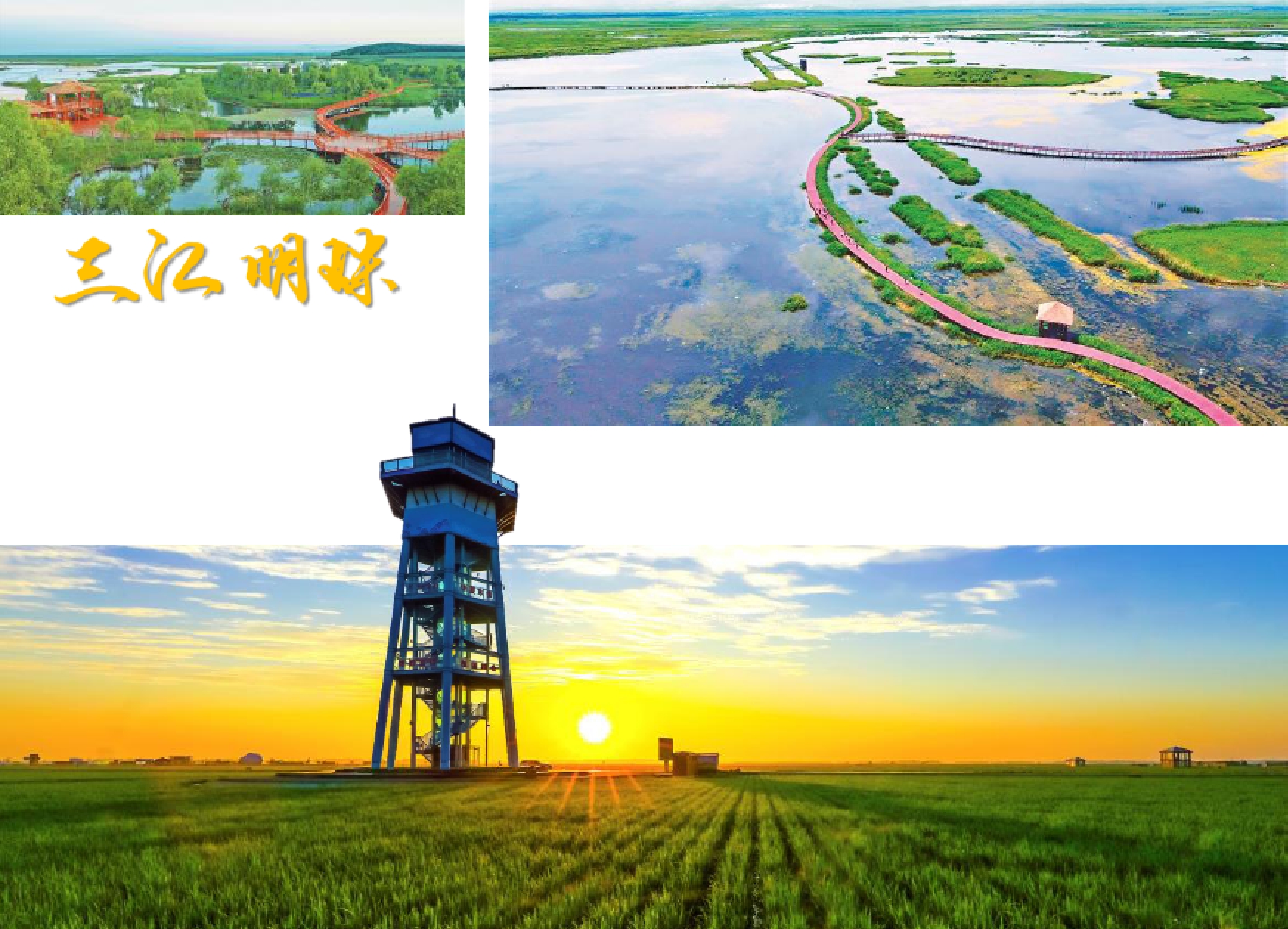 1740990444681633.jpg 1740990444681633.jpg