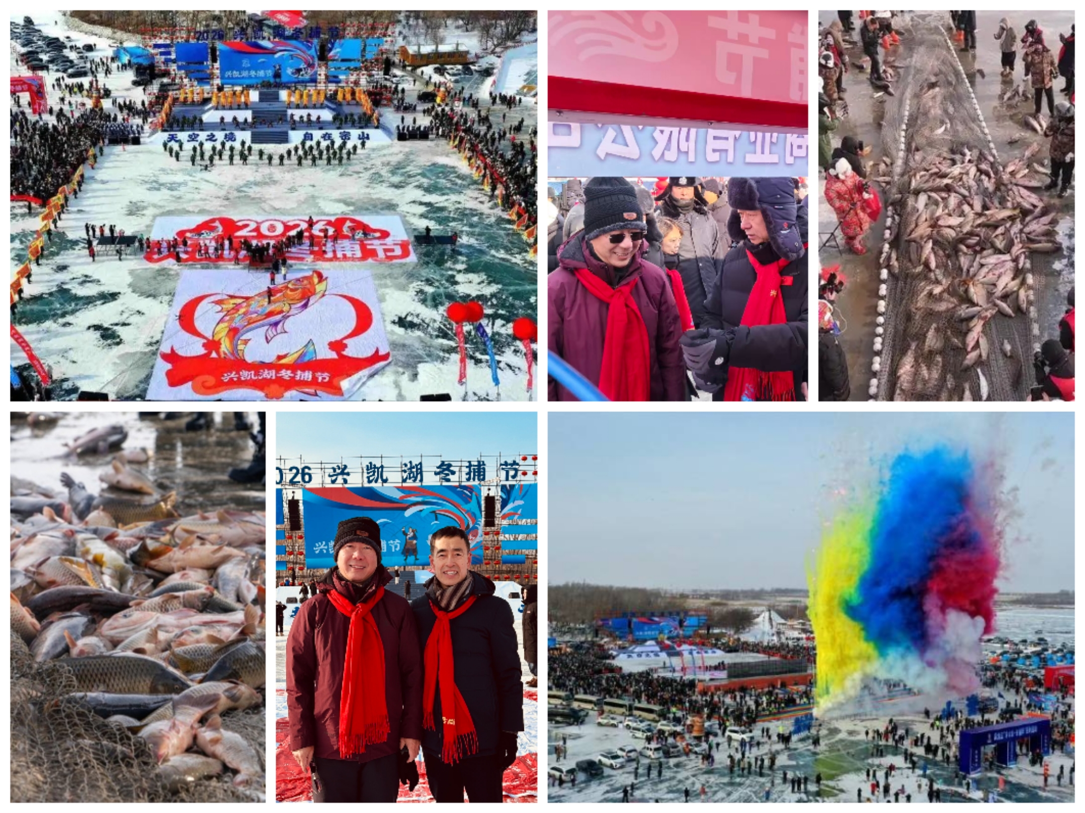 1768790644206713.jpg 1768790644206713.jpg