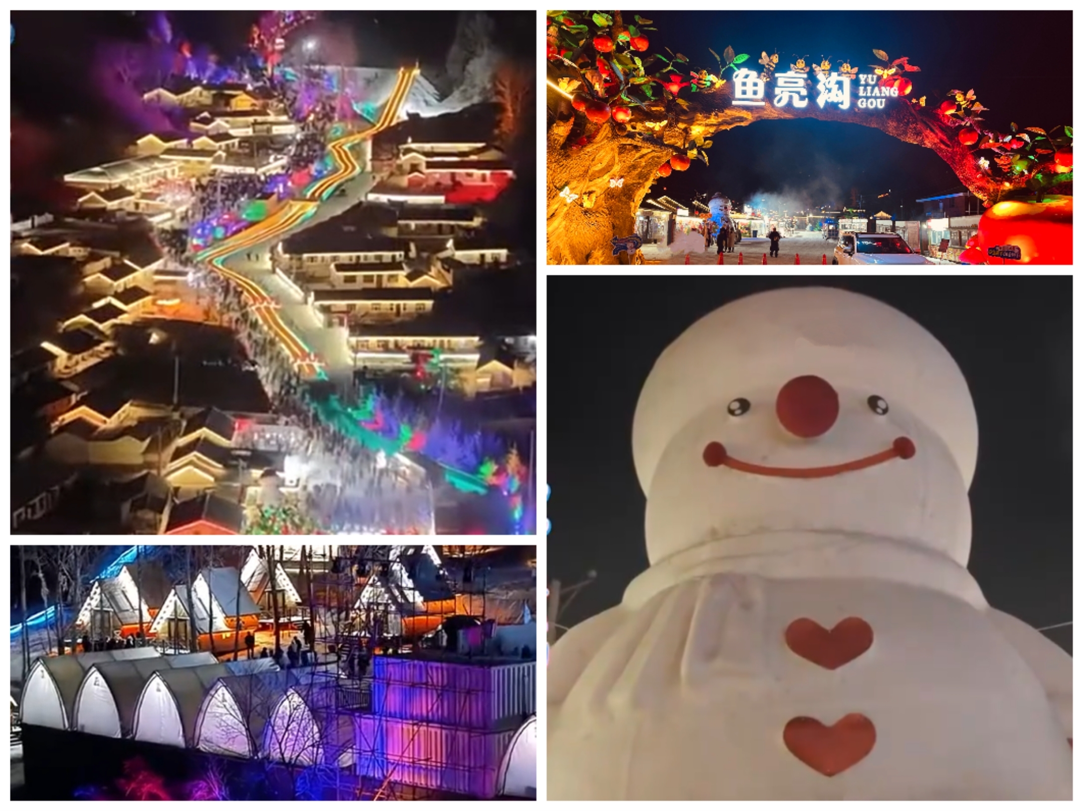 1768790664337134.jpg 1768790664337134.jpg